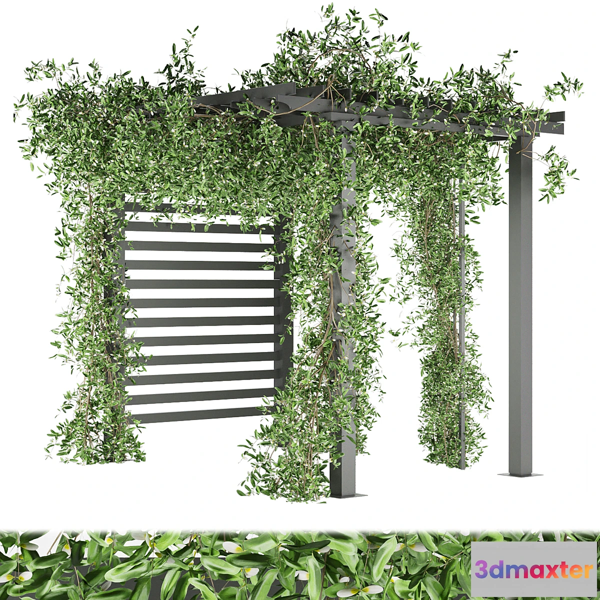 845385 - Collection plant vol 143 - No.3