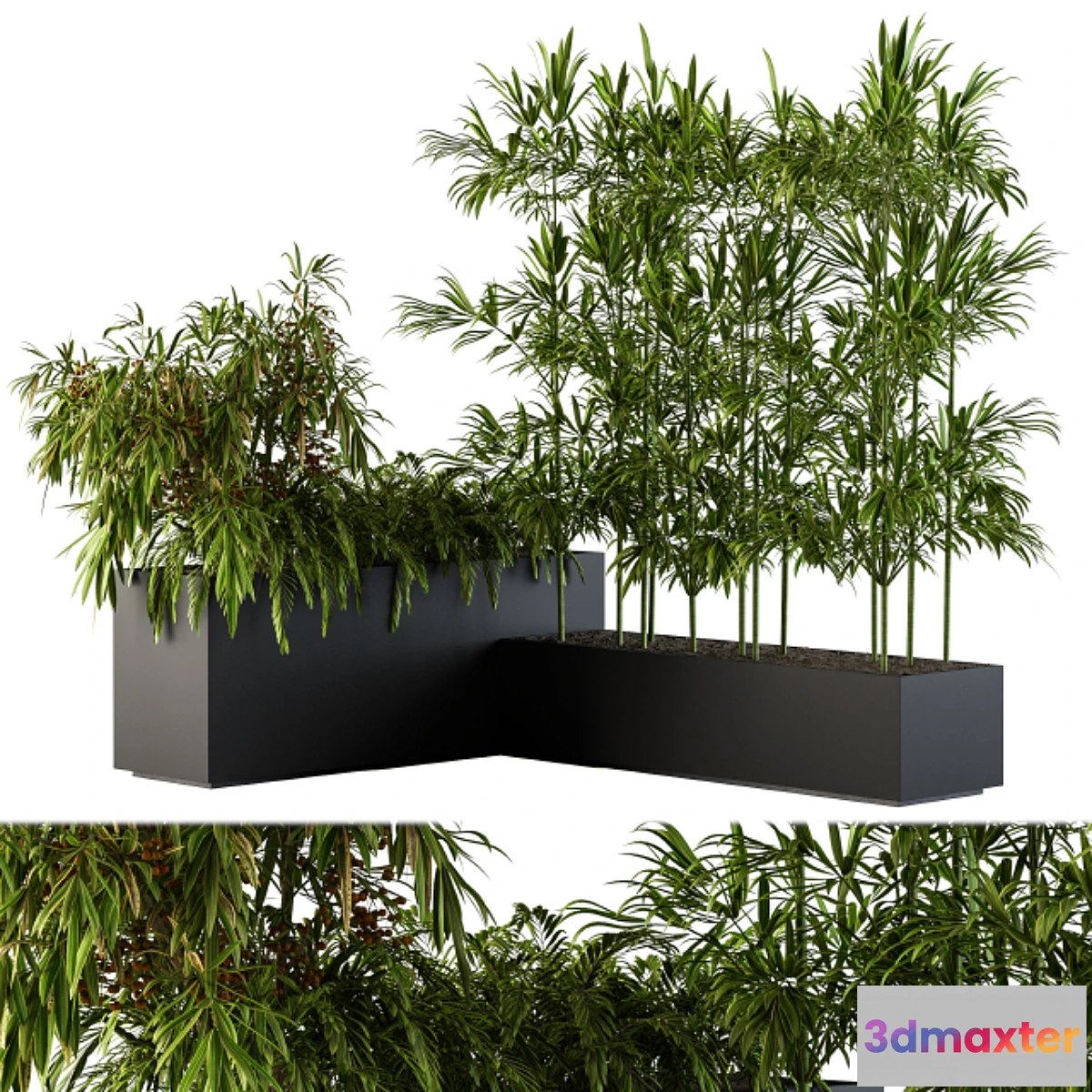 845399 - Outdoor Plants Black Plastic Box - Set 73 - No.3