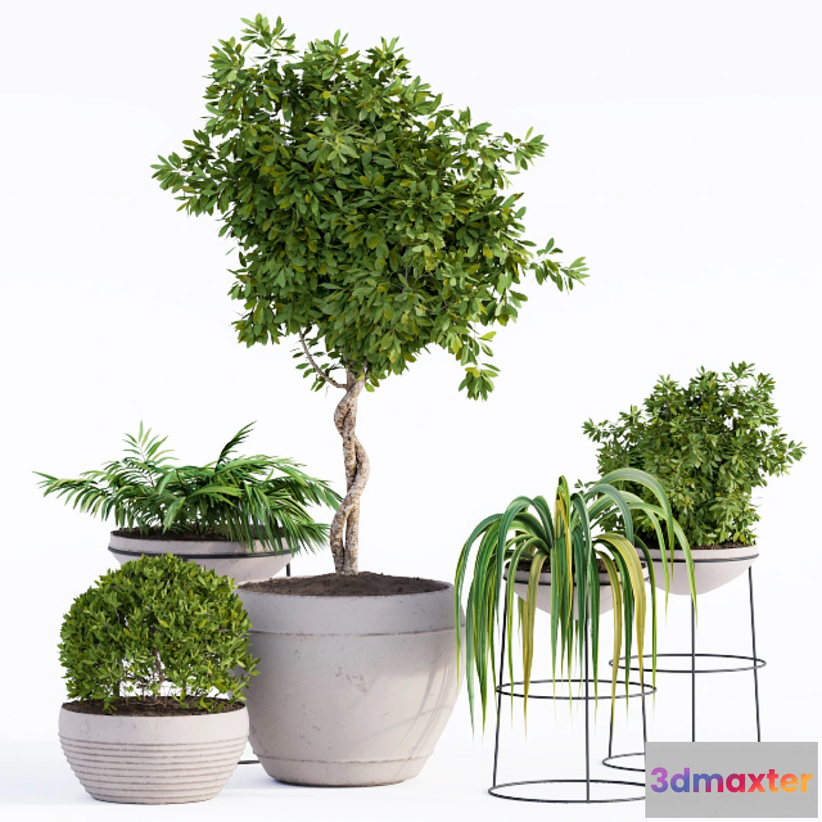 845405 - Outdoor Plants Full Set - No.3