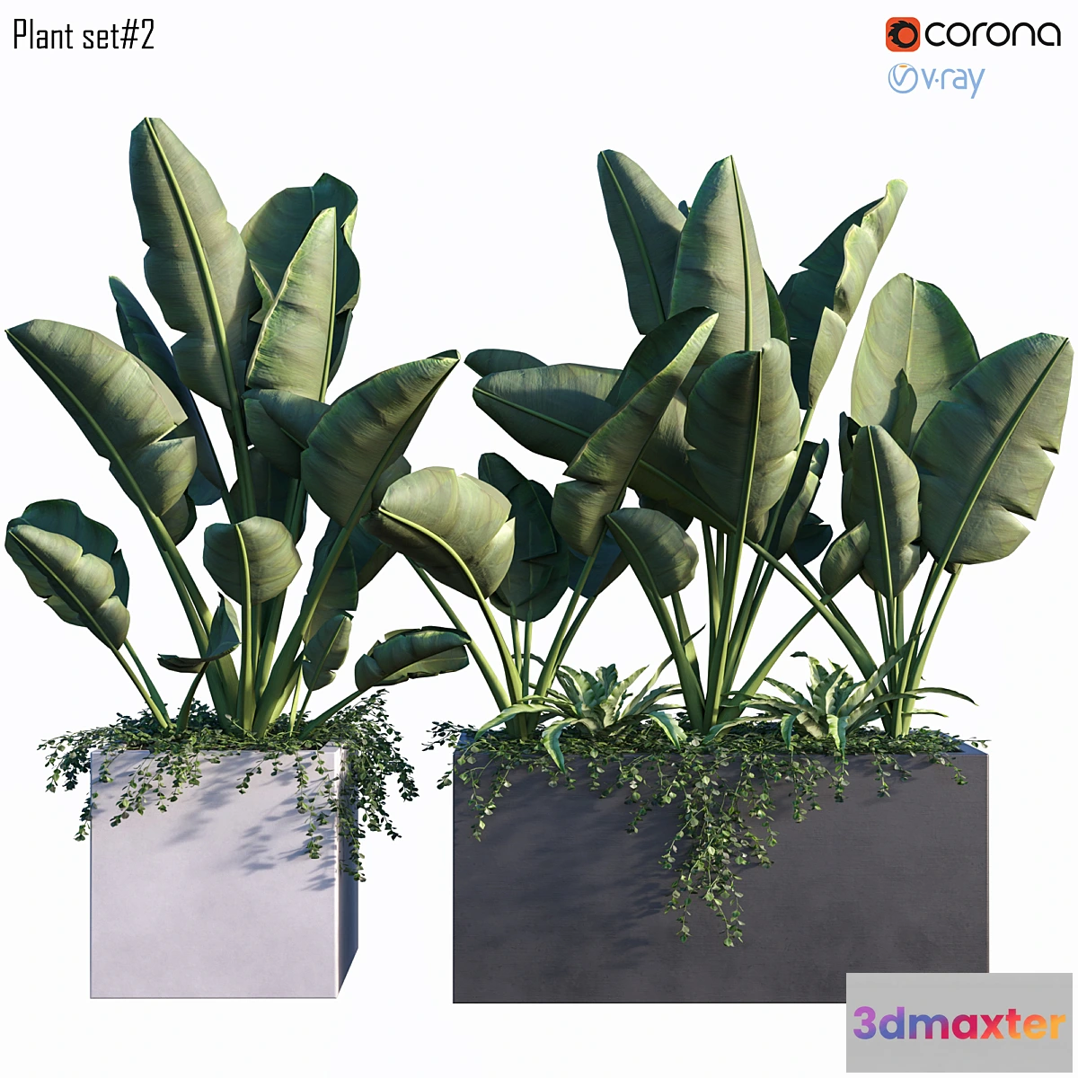 846053 - Plant set # 2 - No.2