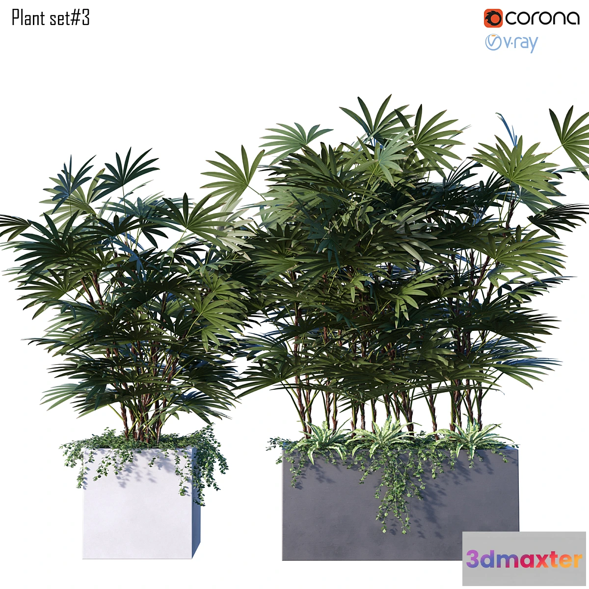 846055 - Plant set # 3 - No.2