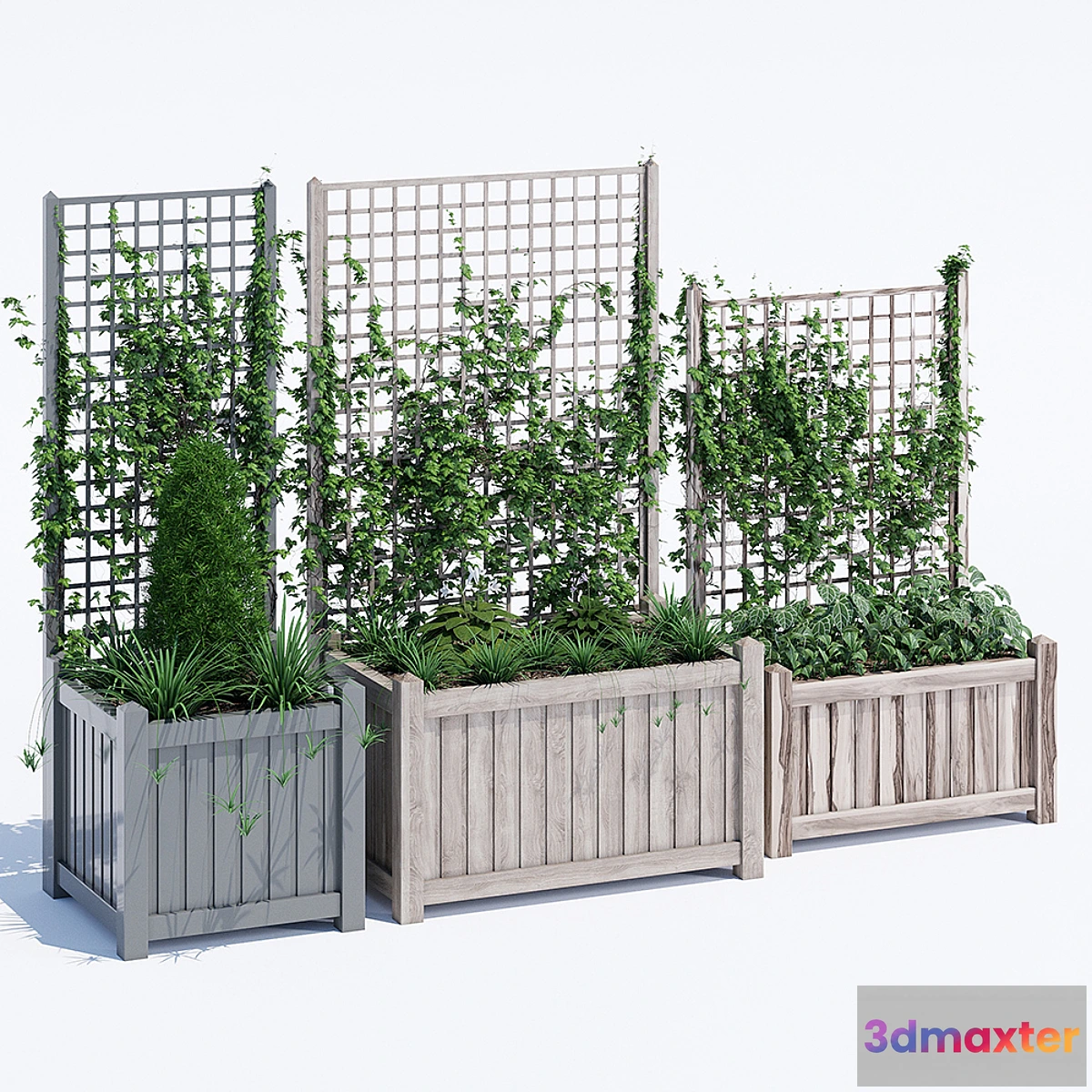 846277 - Square trellis - No.2