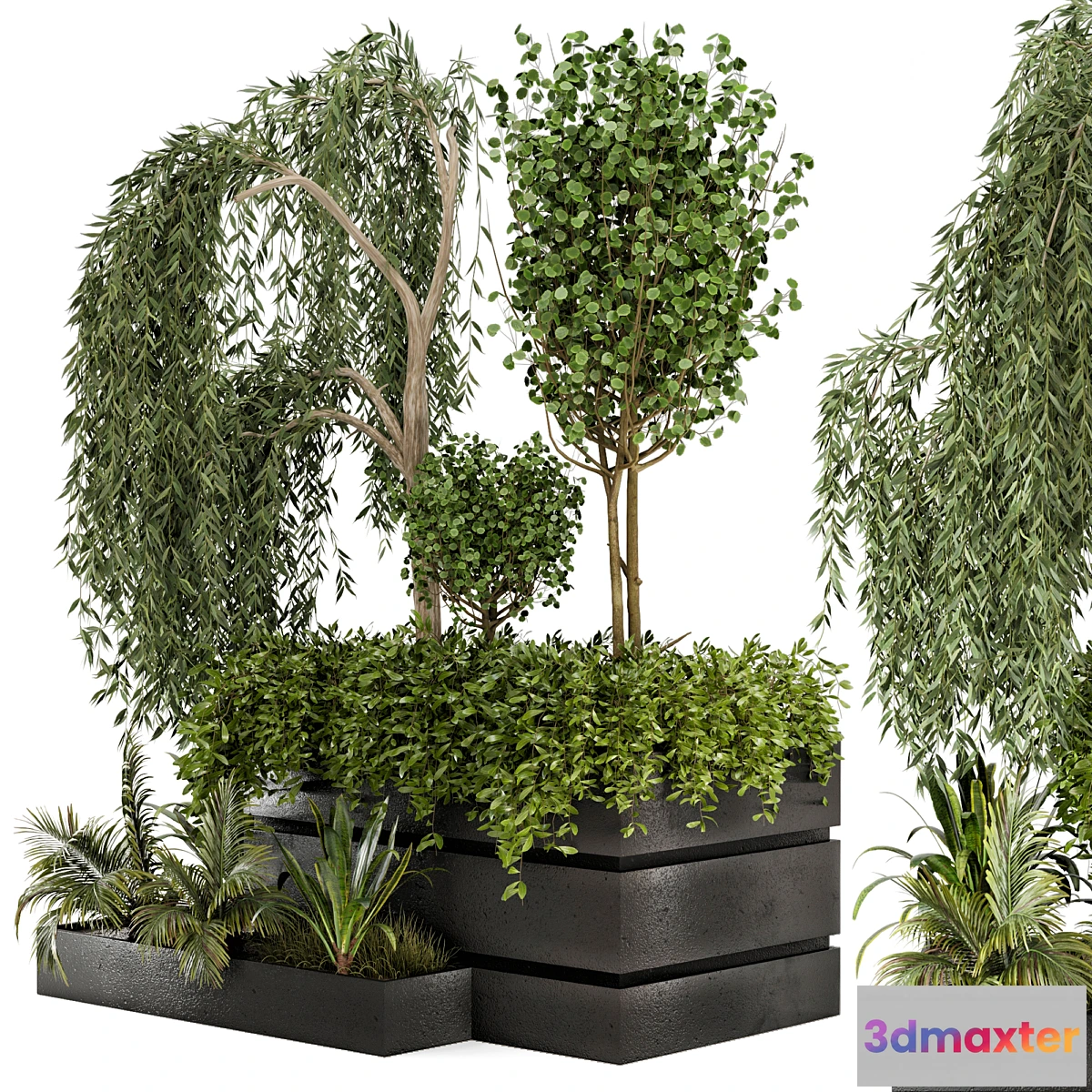 856441 - Outdoor Garden set bush and Tree - Garden Set 48 - No.3