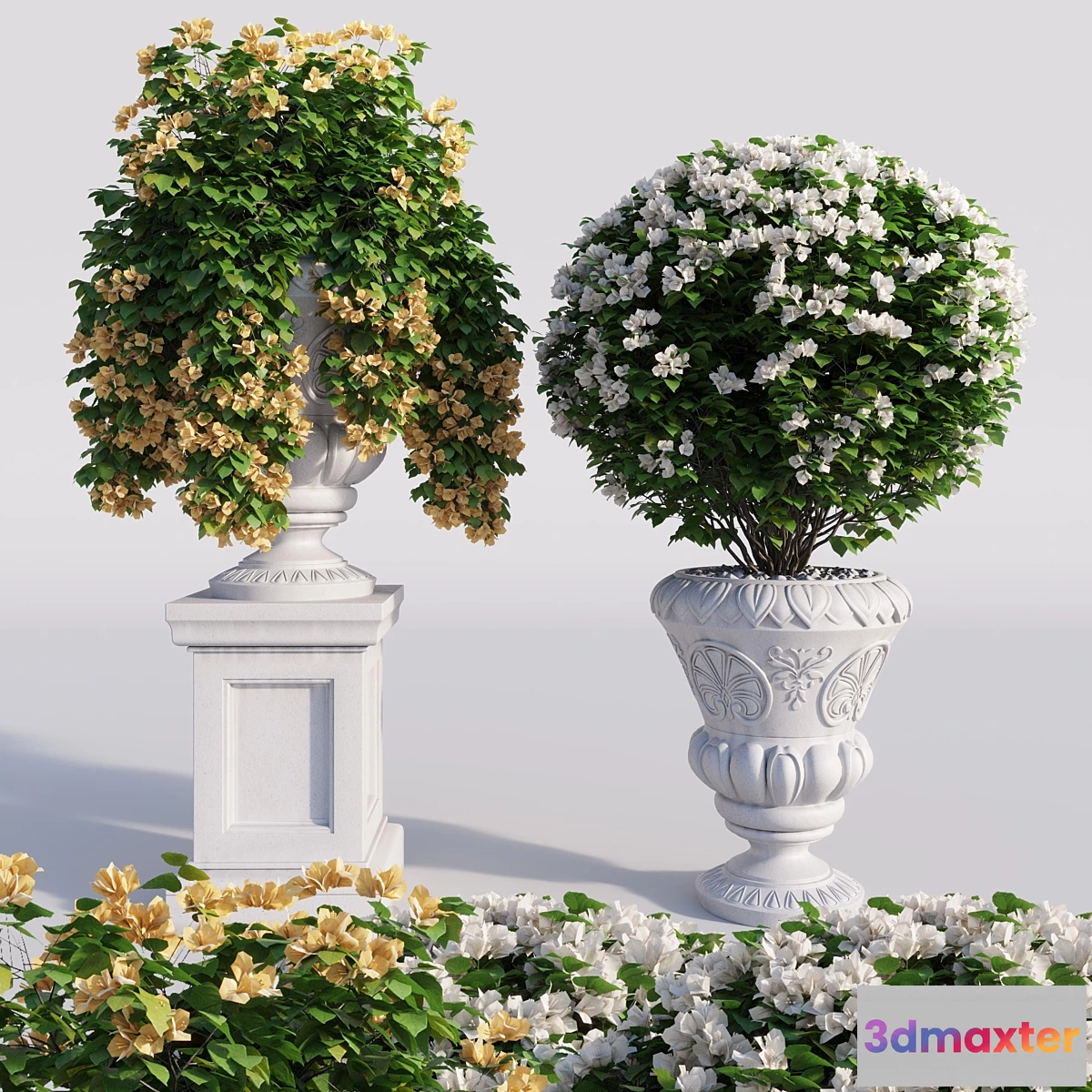 856595 - Bougainvillea planter set. - No.4