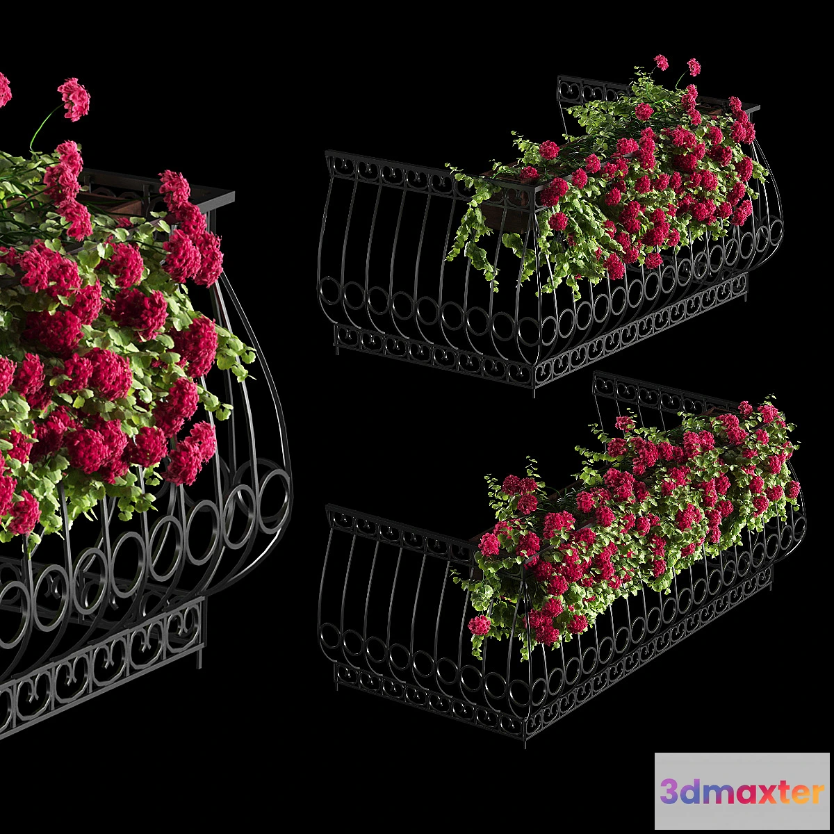 873221 - Plant geranium for the facade - No.5