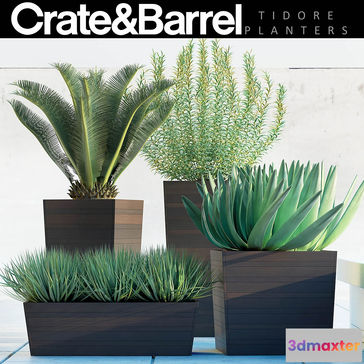 898364 - PLANTS 82 - No.4