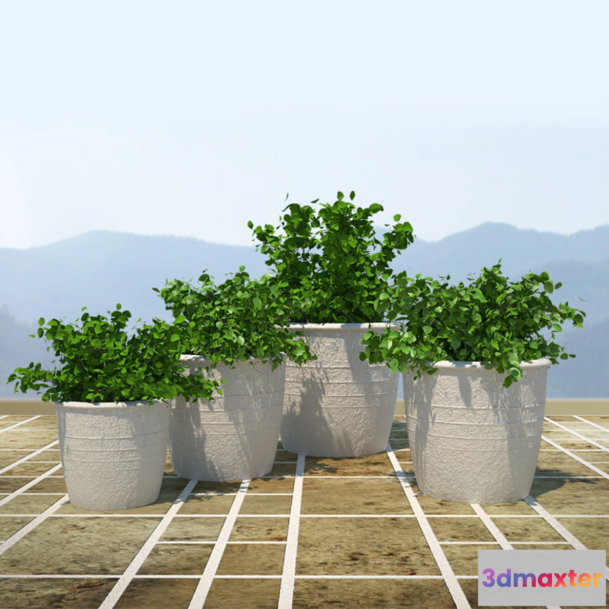 898754 - bush - No.11