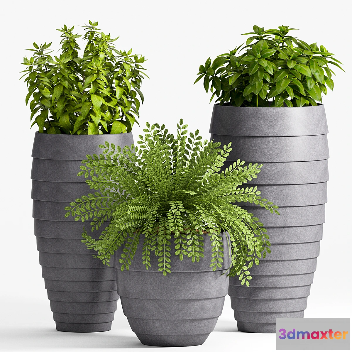 898854 - Plant Set -25 - No.2