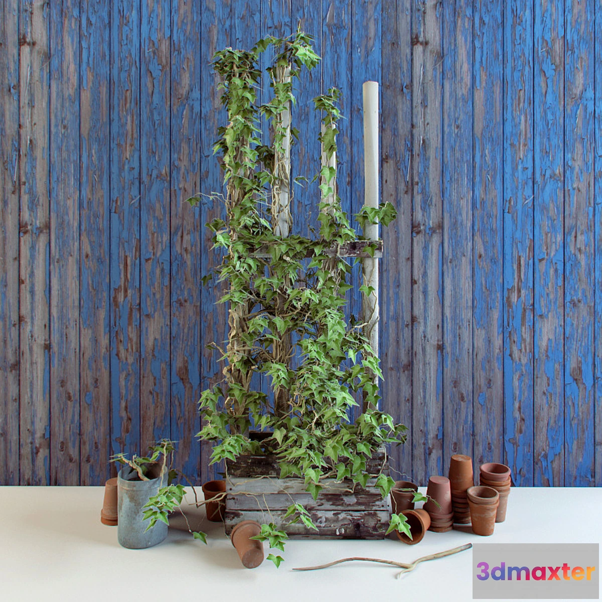 898914 - set for the garden