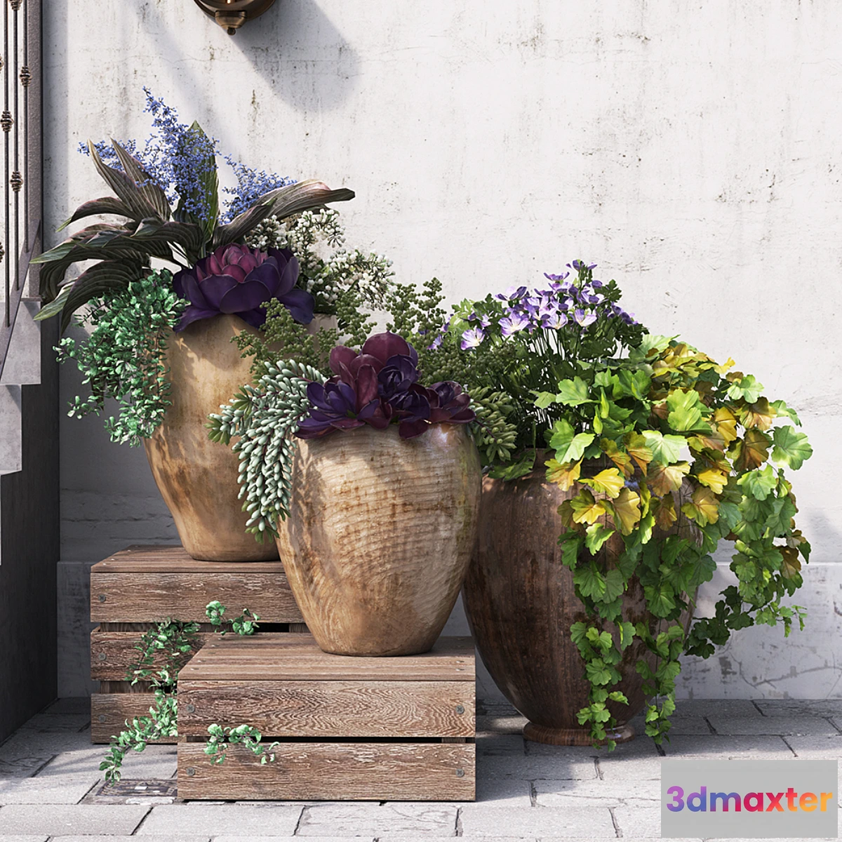 899008 - Summer in pots - No.4
