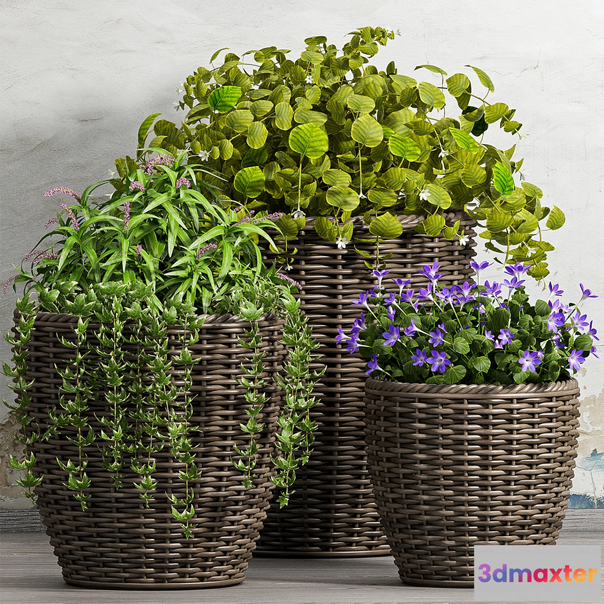 899034 - PLANT -51 - No.5