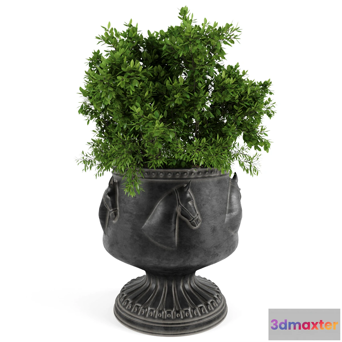 899270 - The bush in a flowerpot - No.2