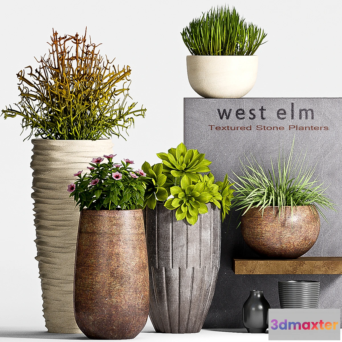 899300 - PLANT SET -63 - No.2