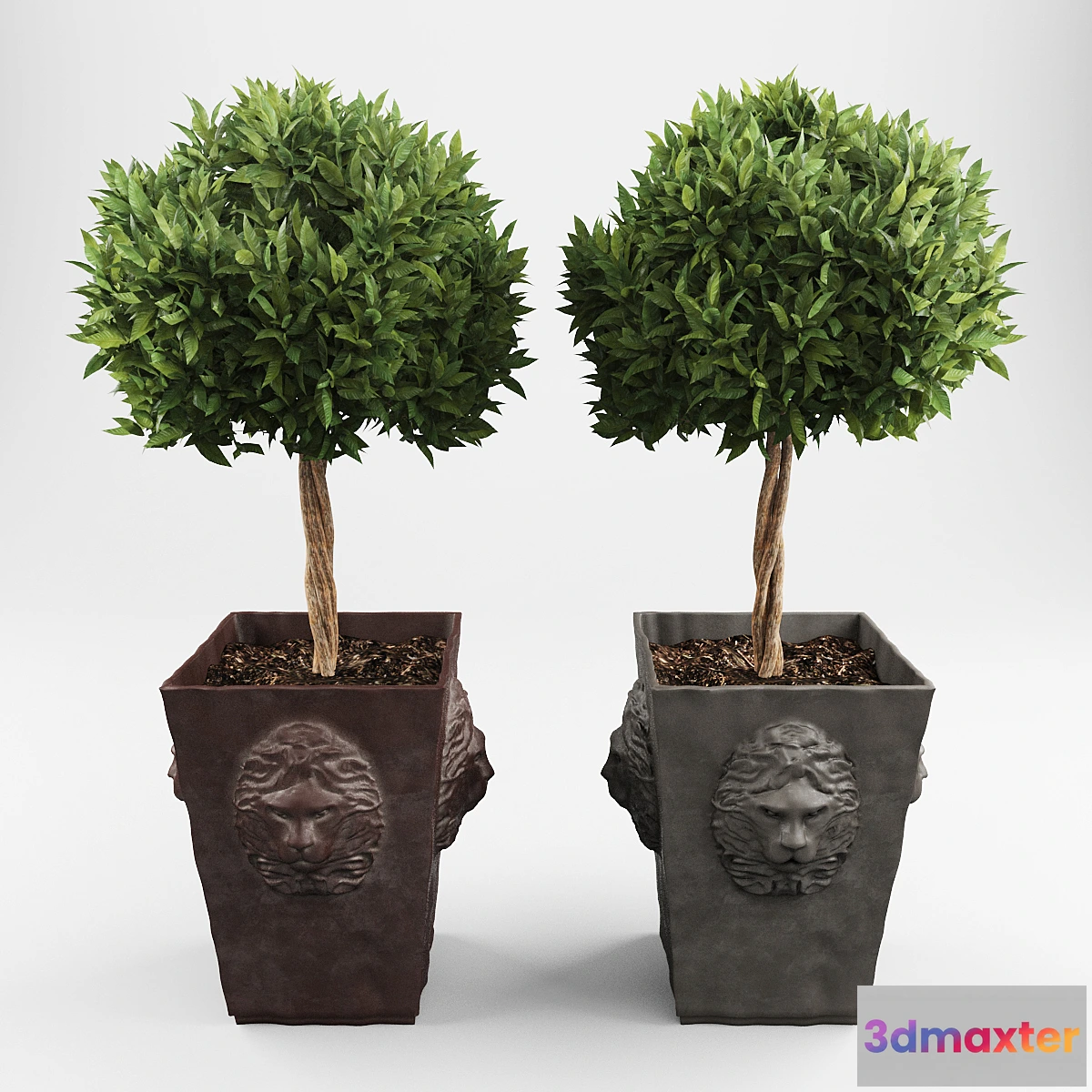 899338 - Ornamental trees 2 - No.2