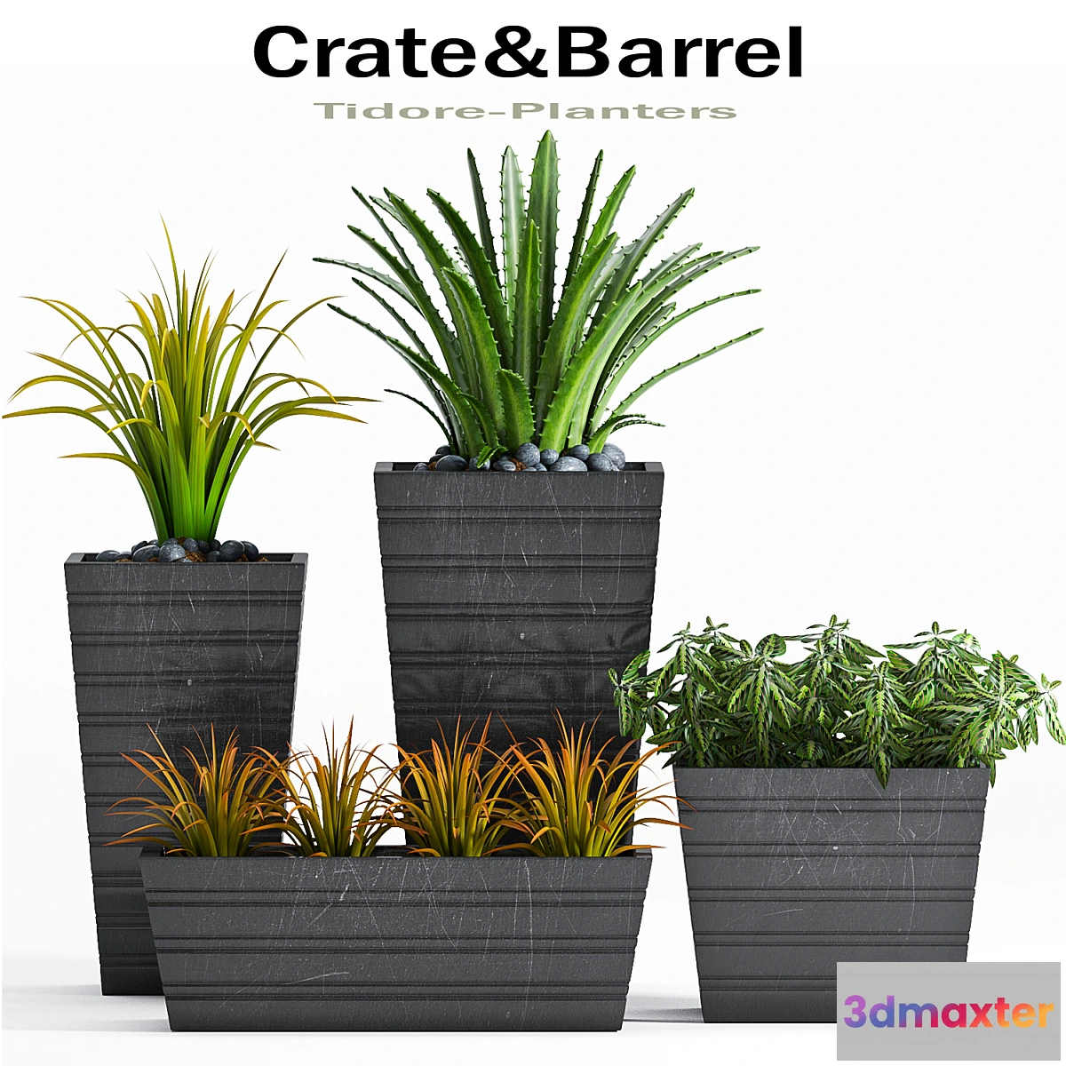 899554 - PLANT -22 - No.2