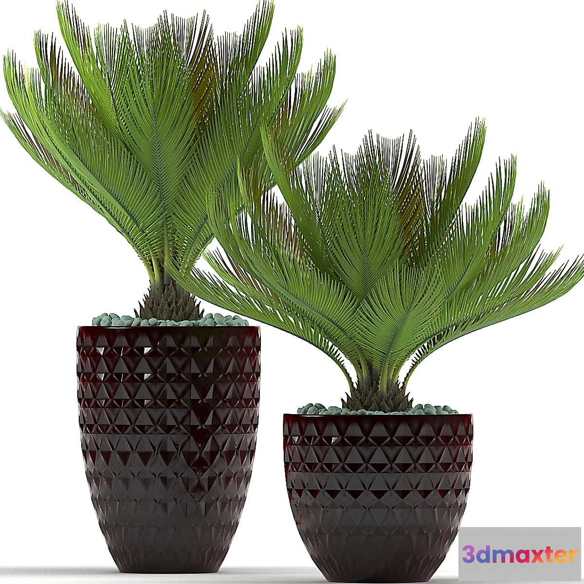 899584 - PLANTS 39 - No.2