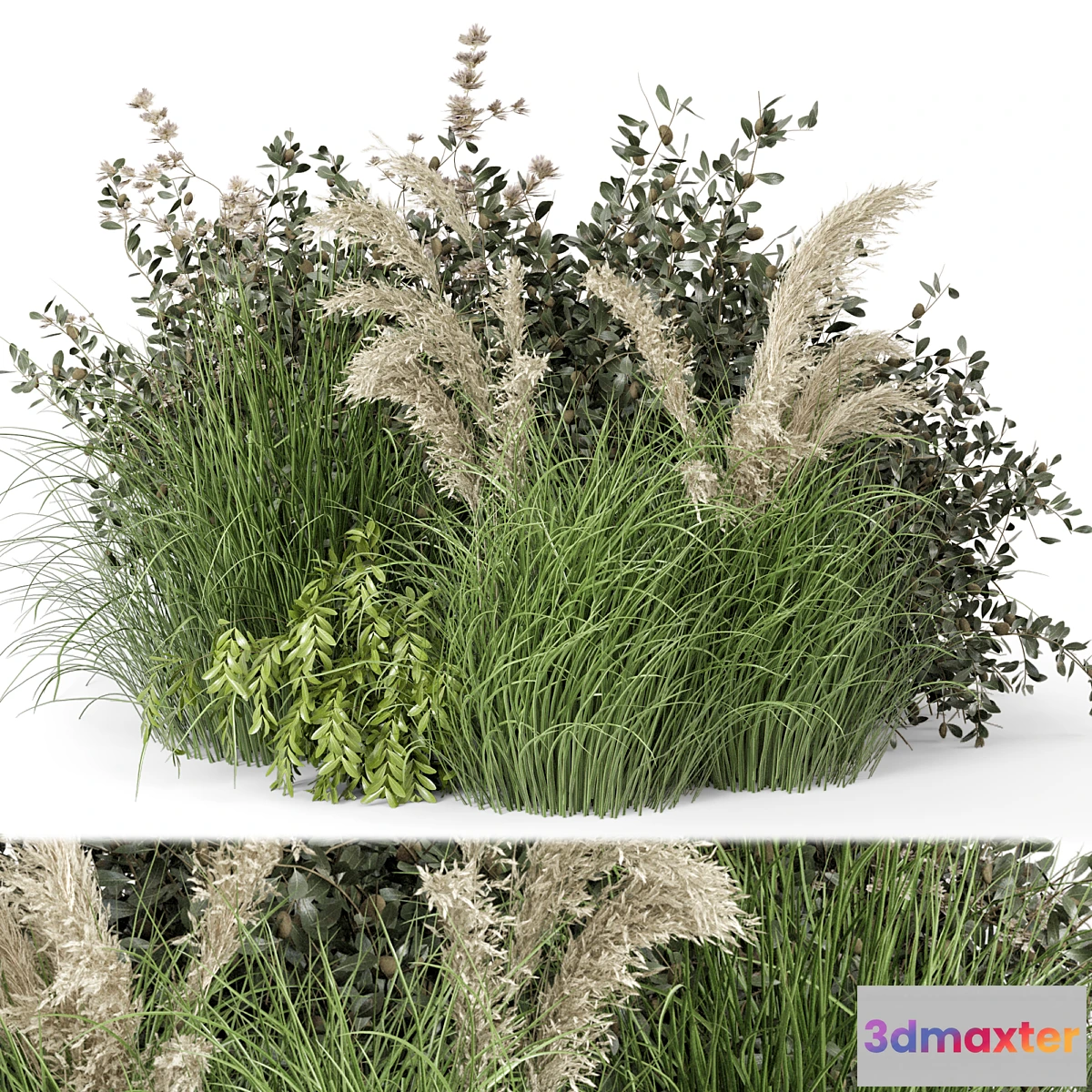 904322 - Outdoor Plants Bush-Bush Set 724 - No.2