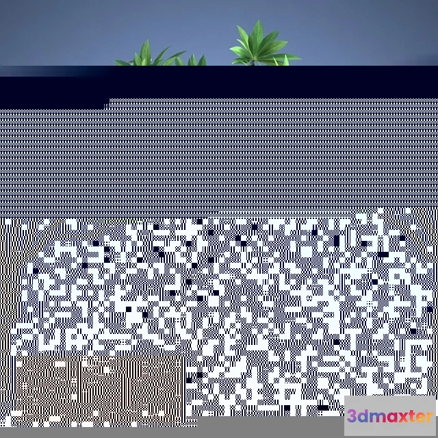 1011728 - Plumeria Plant