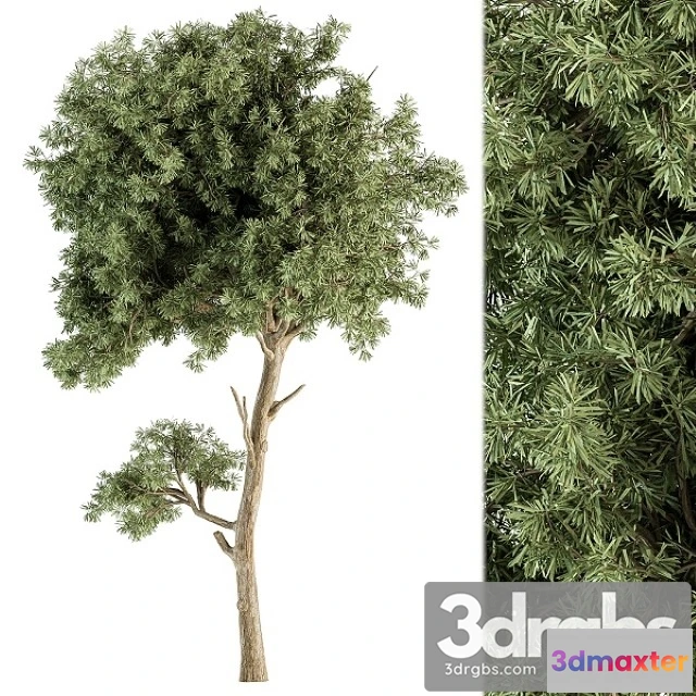 1011780 - Small Tree Green Maple Needle Set 71