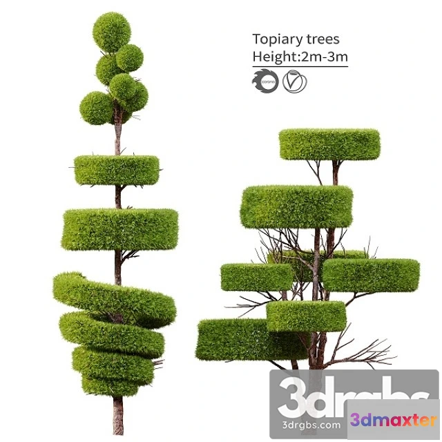 1011822 - Topiary Trees