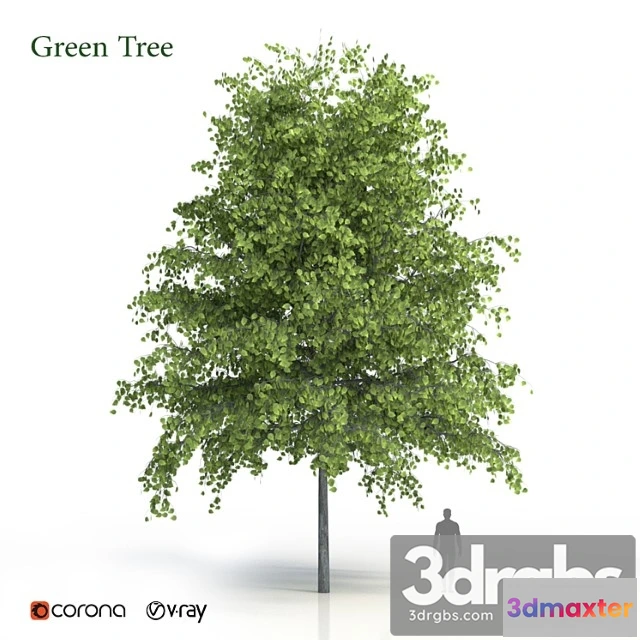 1064374 - Green tree