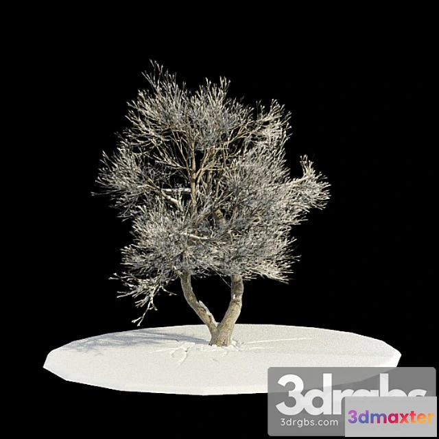 1064380 - in snow v3