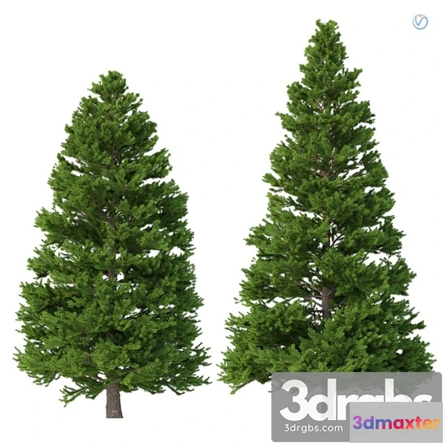 1064456 - Norway spruce set 3 v-ray