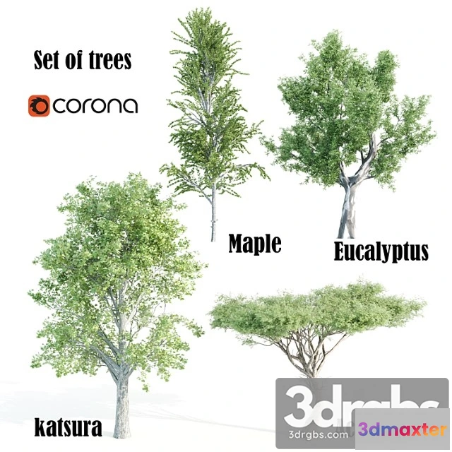 1064694 - Set of tree05