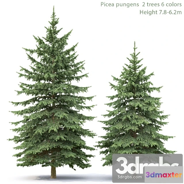 1064730 - Spruce_3_3