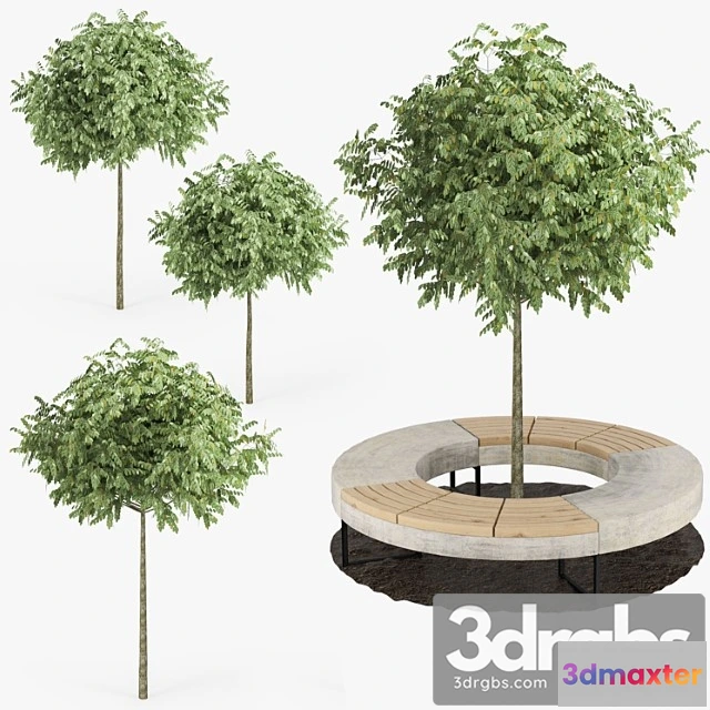 1064800 - Tree flowerbed