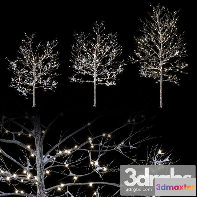 1064832 - Tree Trees in the snow with a luminous garland