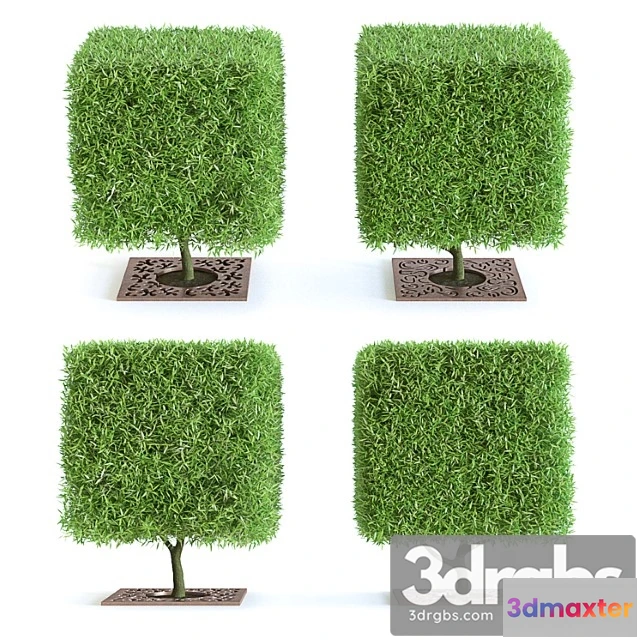 1064862 - Willow brittle with decorative gratings