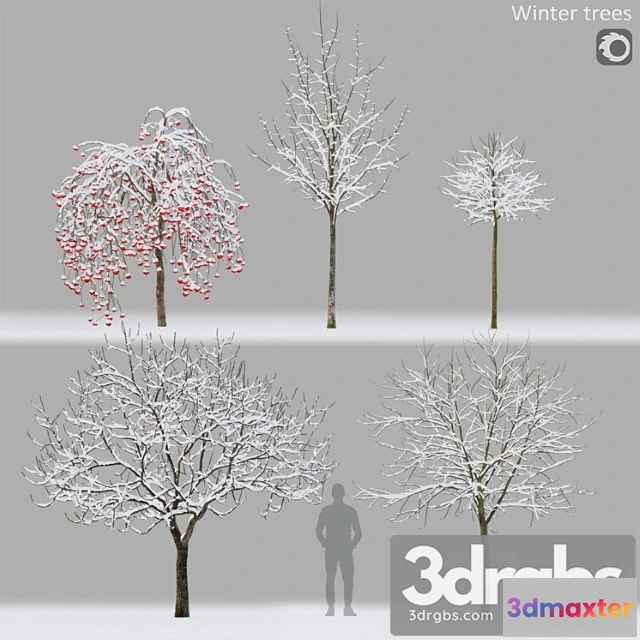 1064882 - Winter trees