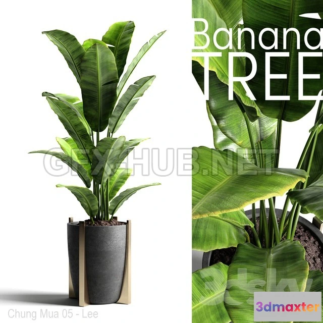 1073486 - BananaTree 2014 (VrayCorona) - 207043