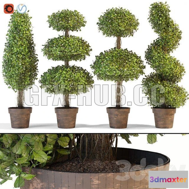 1091252 - Set of decorative trees - 224809