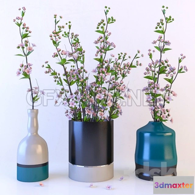 1091462 - Sherry Tree - 225019