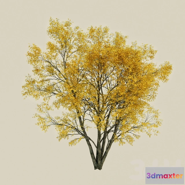 1093852 - tree - 227409