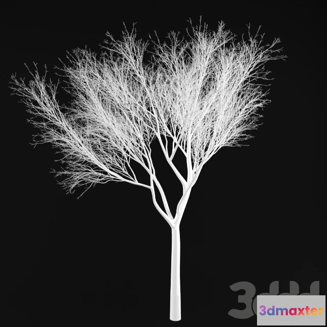 1093872 - tree sculpture - 227429