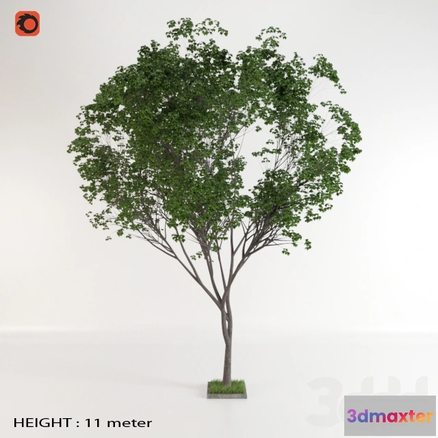 1093884 - trees - 227441