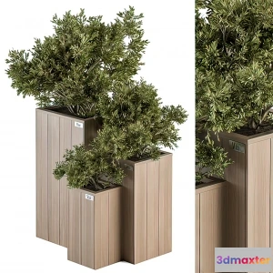 1221148 - Tree for Exterior 3D Models - 014