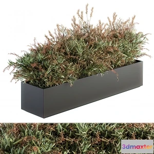 1221154 - Tree for Exterior 3D Models - 017