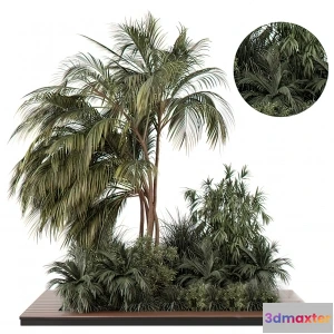 1221160 - Tree for Exterior 3D Models - 020