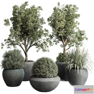 1262944 - Tree for Exterior 3D Models - 002