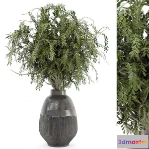 1262958 - Tree for Exterior 3D Models - 009