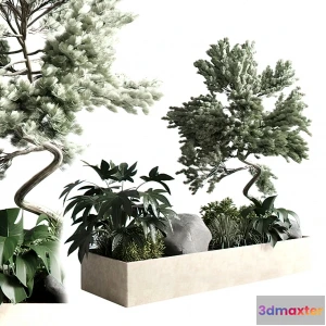 1262960 - Tree for Exterior 3D Models - 010