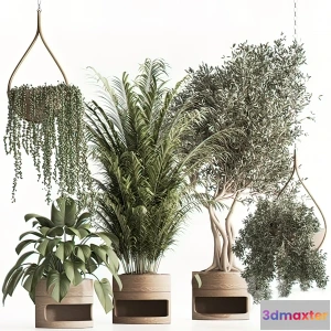 1262982 - Tree for Exterior 3D Models - 021