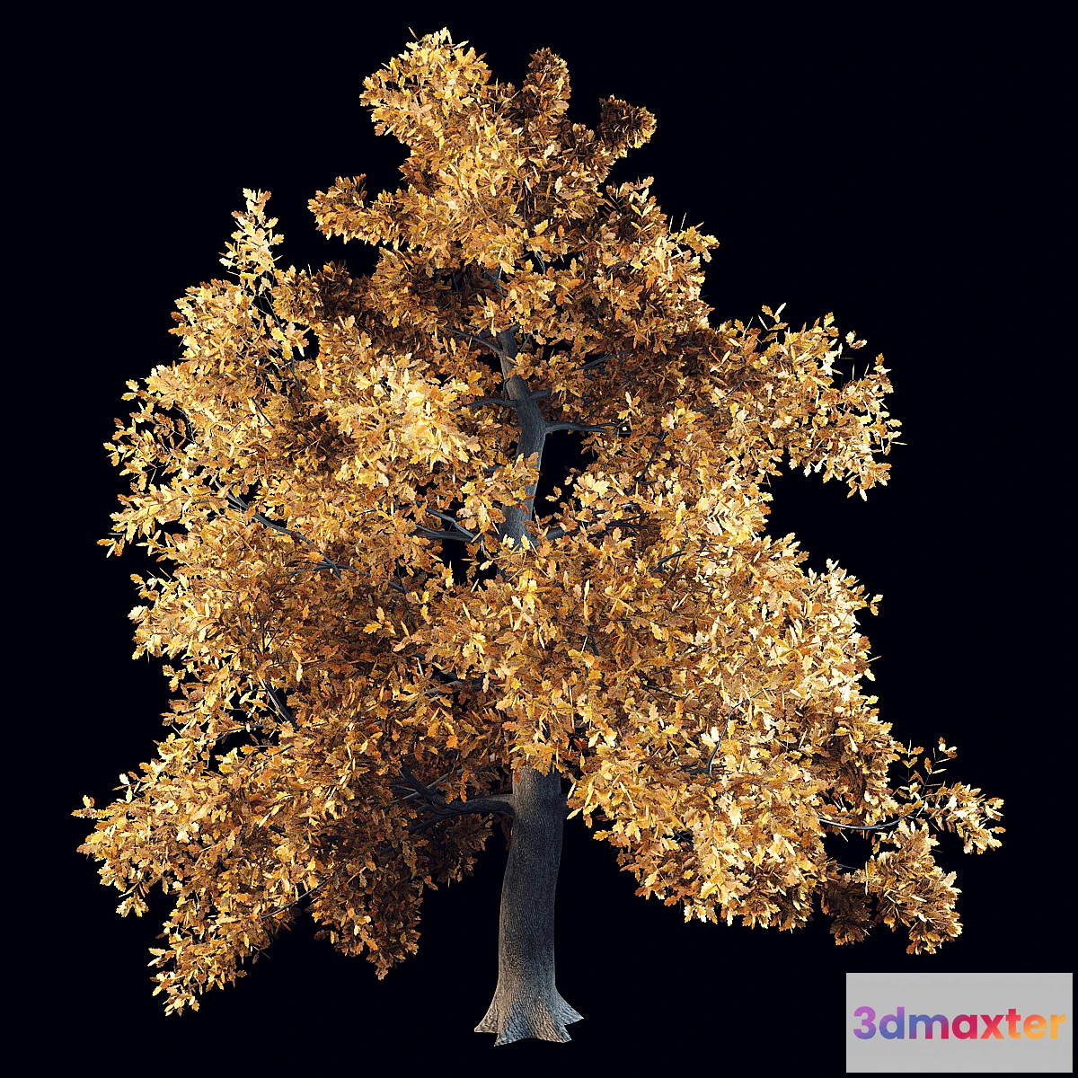 1281104 - English oak 3D Max