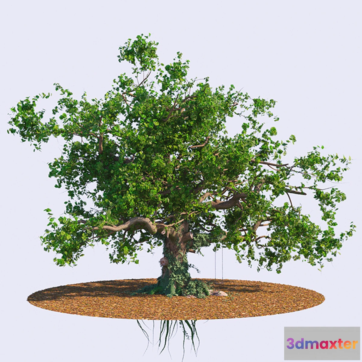 1288158 - The old oak 3D Max