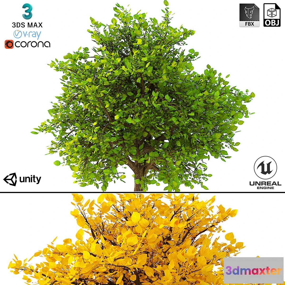 1297638 - 3D Model of the Bush No. 2 3D Max