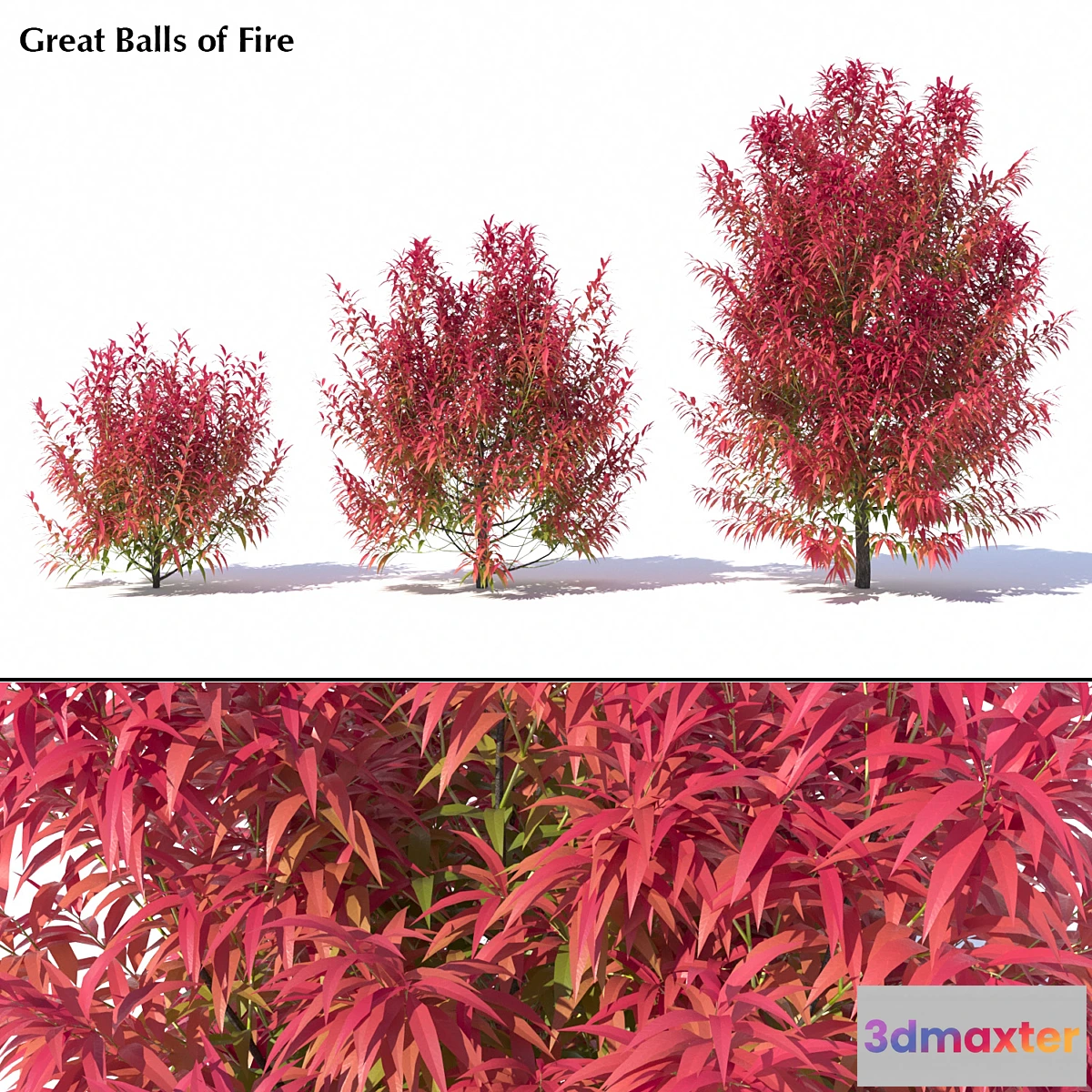 1299515 - Great Balls of Fire 3D Max